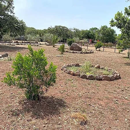 Abbalughente Sindia